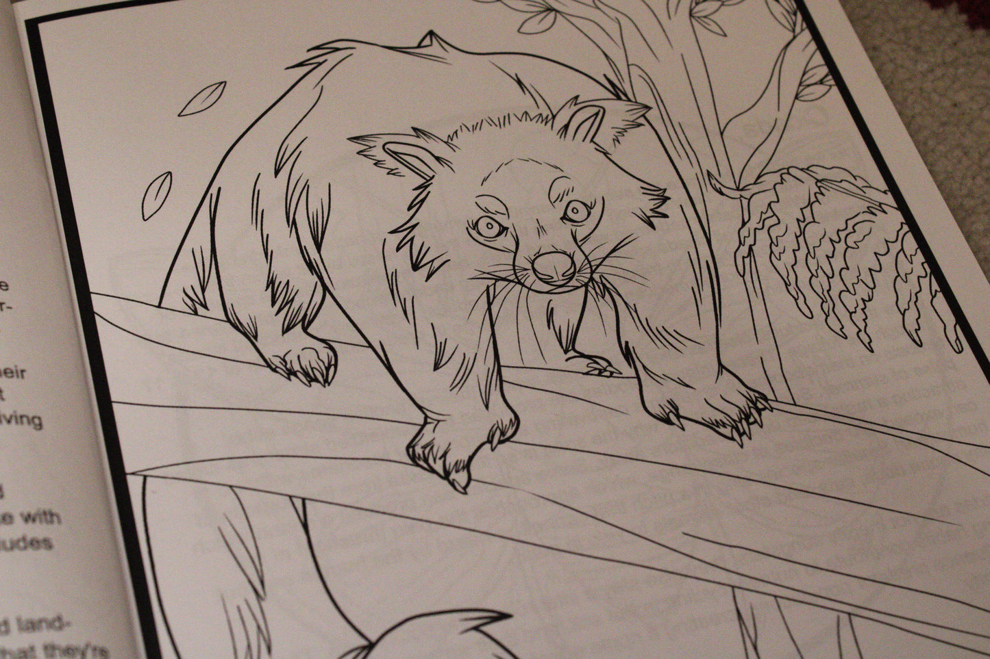 A Wild Animal Adventure - Educational Colouring Book