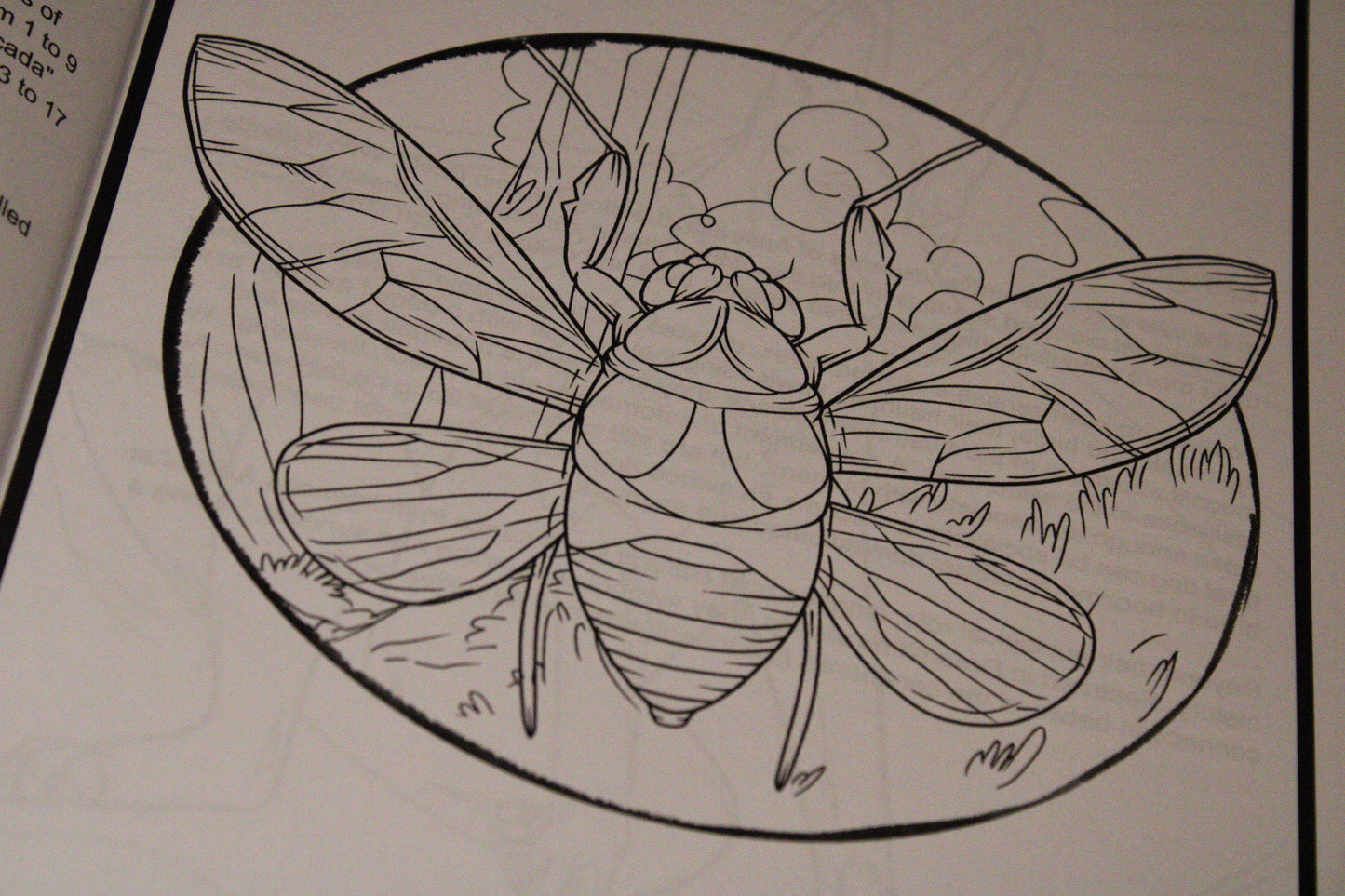 A Wild Animal Adventure - Educational Colouring Book