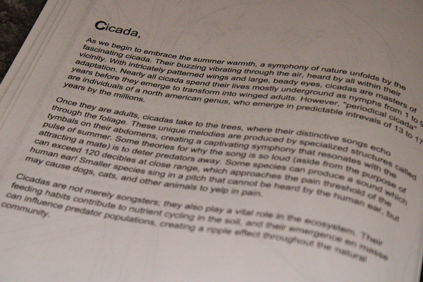 A Wild Animal Adventure - Educational Colouring Book