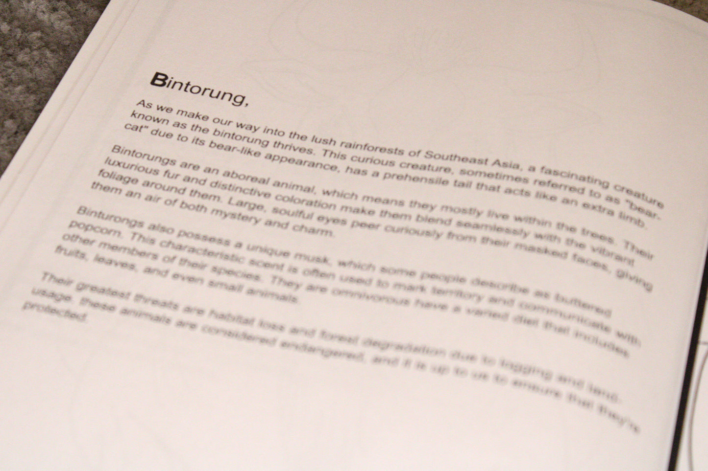 A Wild Animal Adventure - Educational Colouring Book