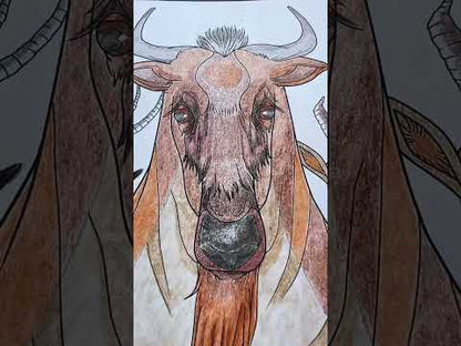 A Wild Animal Adventure - Educational Colouring Book